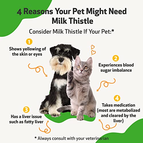 Pet Wellbeing Milk Thistle for Dogs & Cats - Supports Liver Health, Protects Liver - Glycerin-Based Natural Herbal Supplement - 4 oz (118 ml) - Image 7